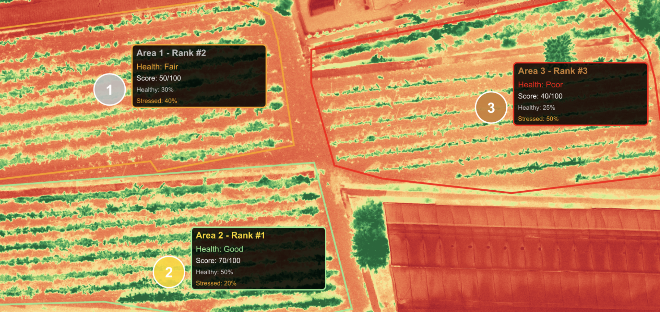 Project Area Analysis